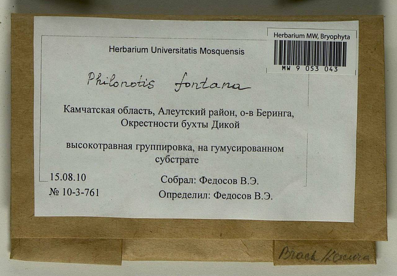 Philonotis fontana (Hedw.) Brid., Bryophytes, Bryophytes - Chukotka & Kamchatka (B21) (Russia)