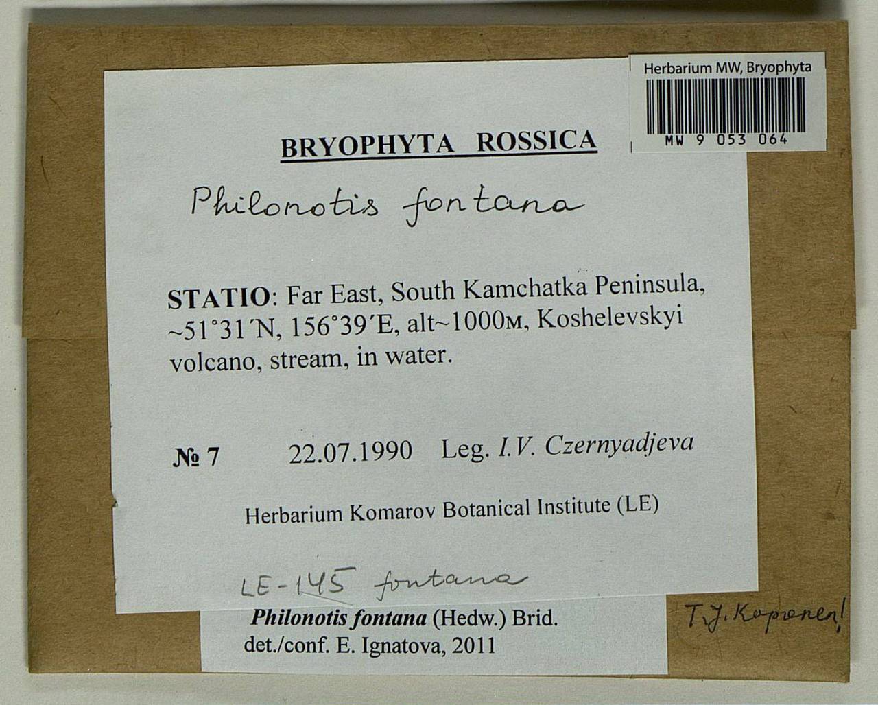 Philonotis fontana (Hedw.) Brid., Bryophytes, Bryophytes - Chukotka & Kamchatka (B21) (Russia)