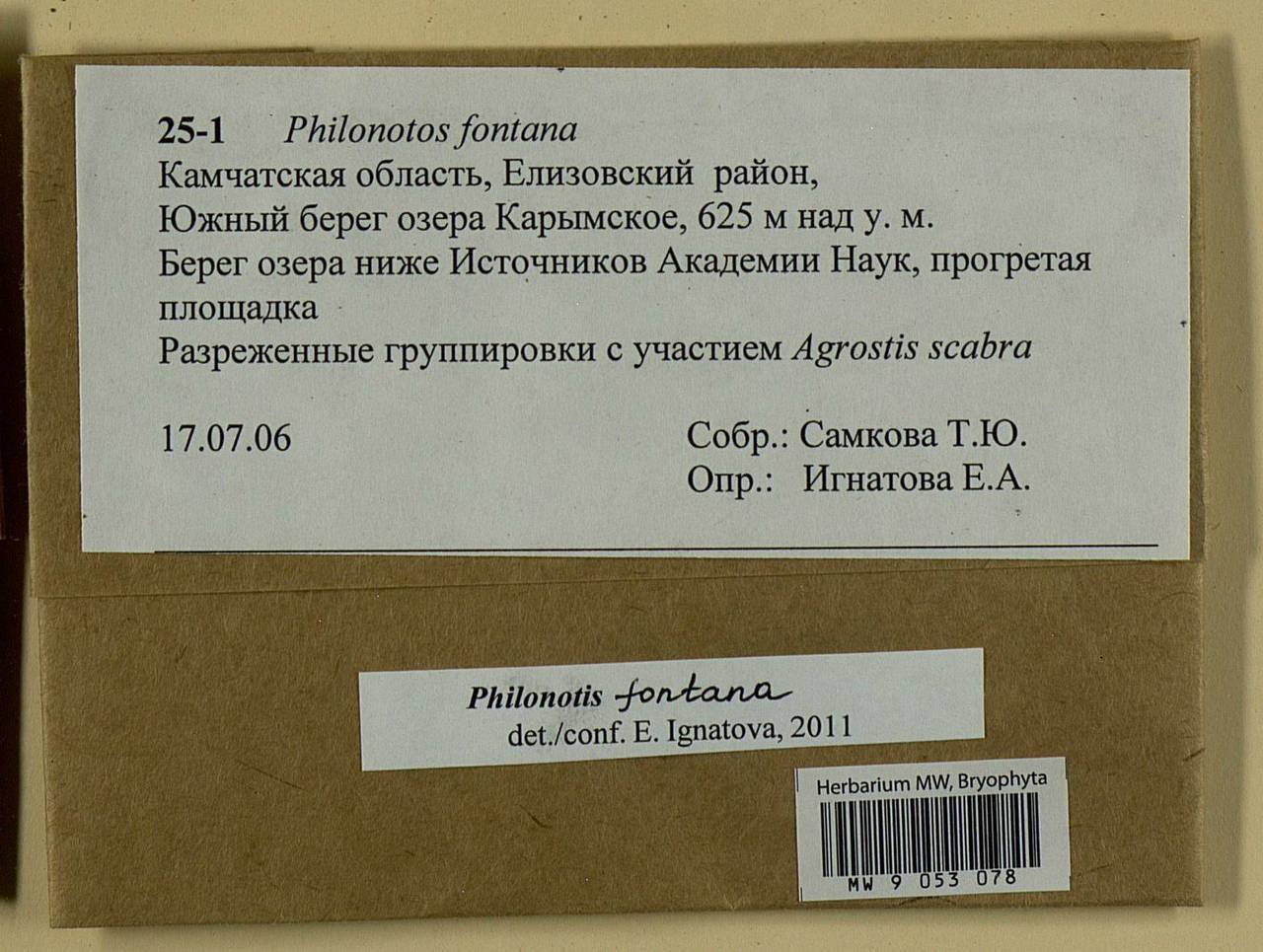 Philonotis fontana (Hedw.) Brid., Bryophytes, Bryophytes - Chukotka & Kamchatka (B21) (Russia)