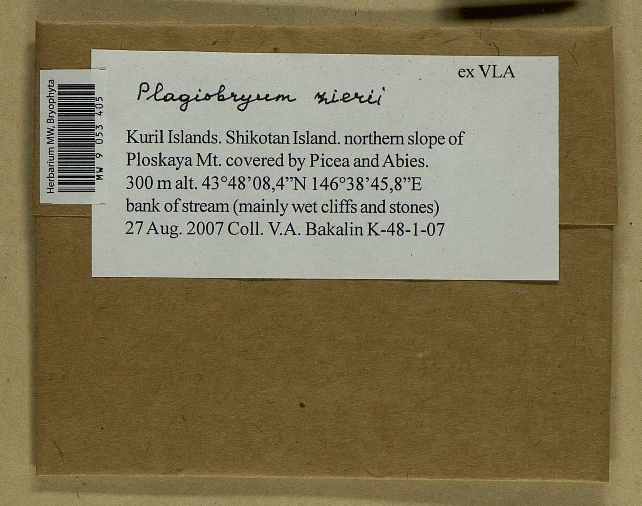 Plagiobryum zieri (Dicks. ex Hedw.) Lindb., Bryophytes, Bryophytes - Russian Far East (excl. Chukotka & Kamchatka) (B20) (Russia)