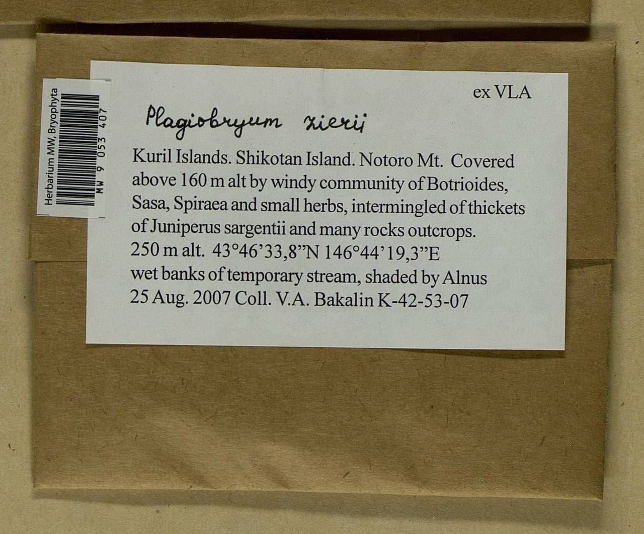 Plagiobryum zieri (Dicks. ex Hedw.) Lindb., Bryophytes, Bryophytes - Russian Far East (excl. Chukotka & Kamchatka) (B20) (Russia)