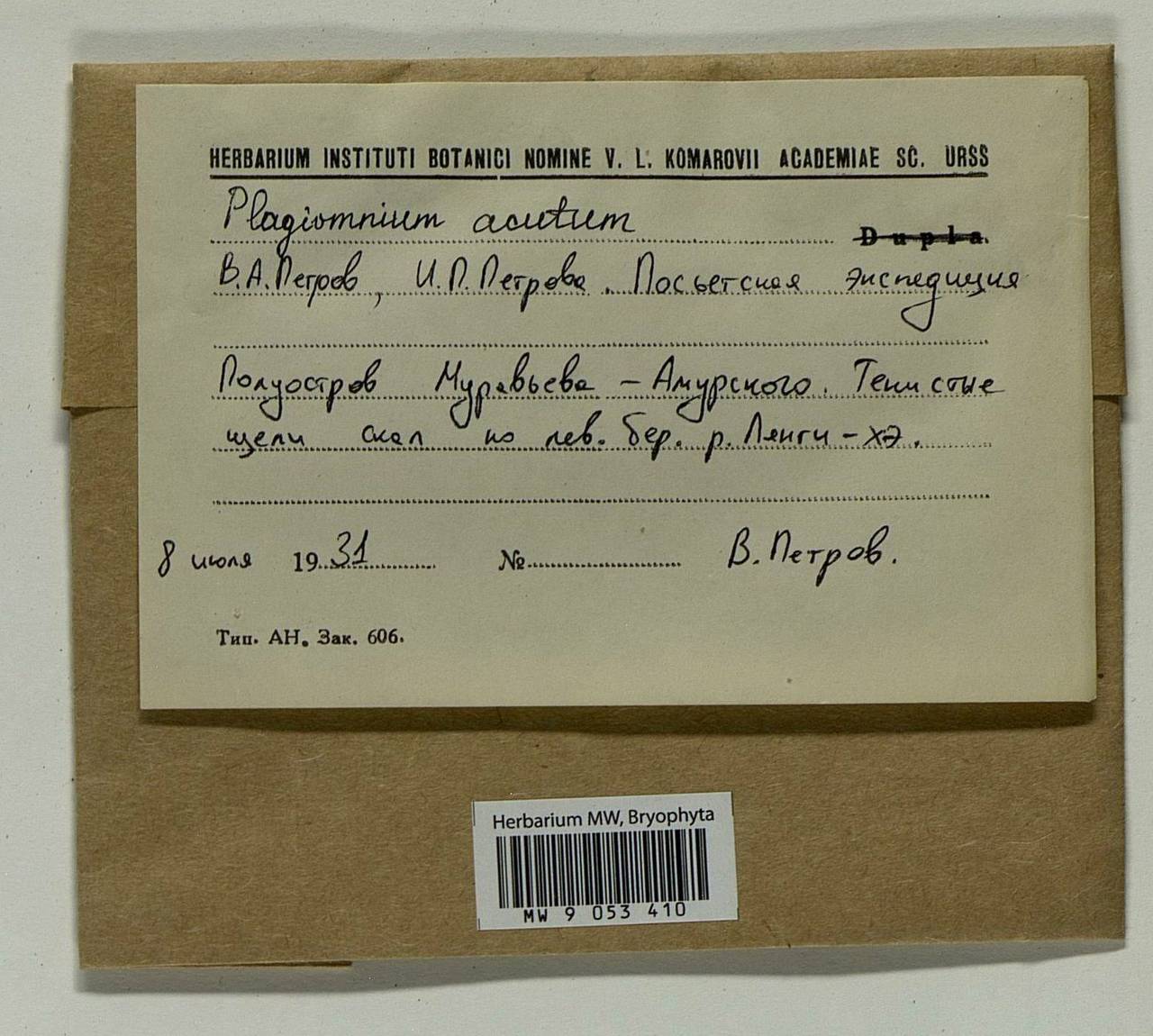 Plagiomnium acutum (Lindb.) T.J. Kop., Bryophytes, Bryophytes - Russian Far East (excl. Chukotka & Kamchatka) (B20) (Russia)