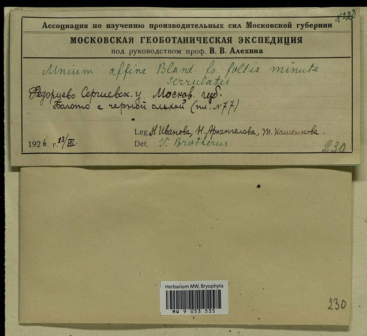 Plagiomnium affine (Blandow ex Funck) T.J. Kop., Bryophytes, Bryophytes - Moscow City & Moscow Oblast (B6a) (Russia)