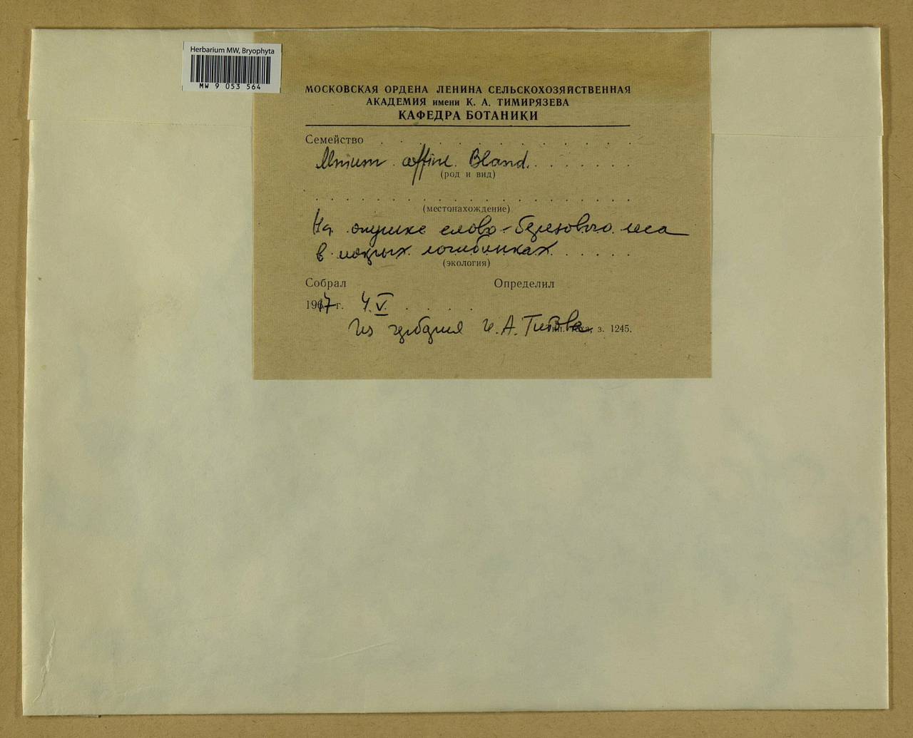 Plagiomnium affine (Blandow ex Funck) T.J. Kop., Bryophytes, Bryophytes (no precise locality) (B0)