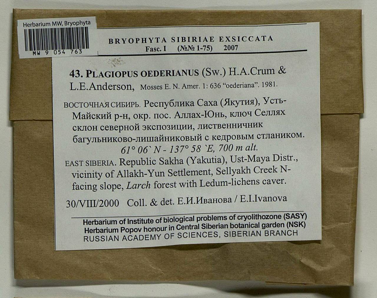 Plagiopus oederianus (Sw.) H.A. Crum & L.E. Anderson, Bryophytes, Bryophytes - Yakutia (B19) (Russia)