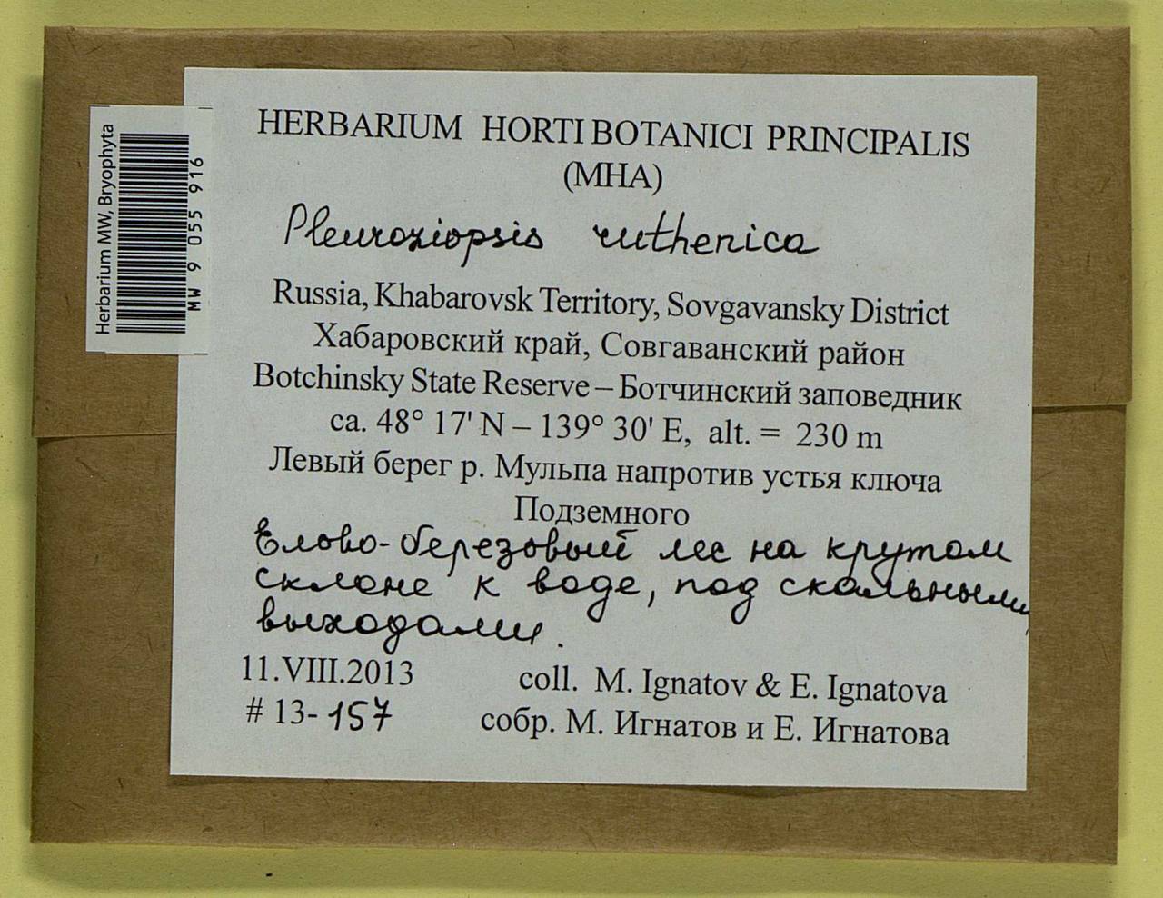 Pleuroziopsis ruthenica (Weinm.) Kindb. ex E. Britton, Bryophytes, Bryophytes - Russian Far East (excl. Chukotka & Kamchatka) (B20) (Russia)