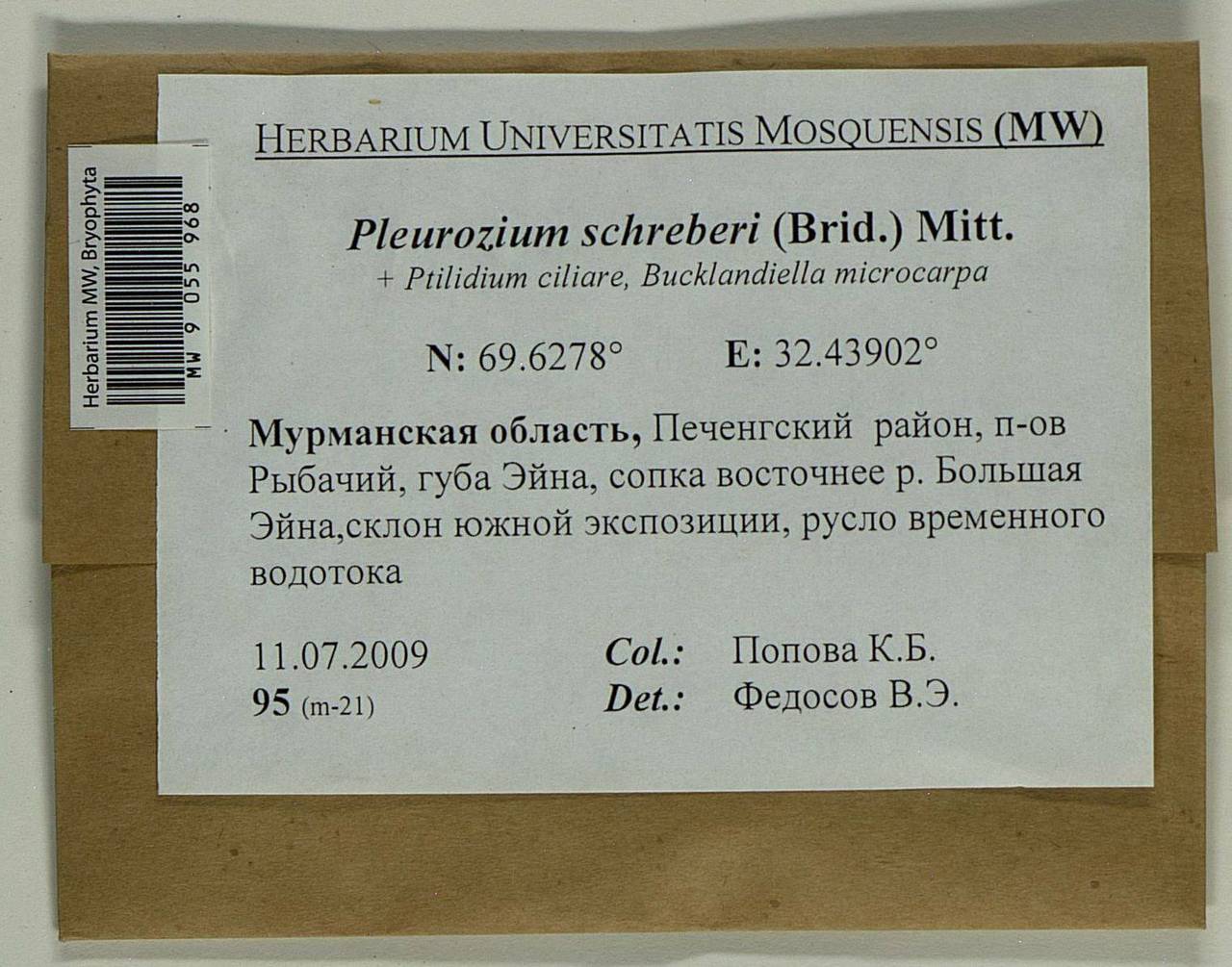 Pleurozium schreberi (Willd. ex Brid.) Mitt., Bryophytes, Bryophytes - Karelia, Leningrad & Murmansk Oblasts (B4) (Russia)