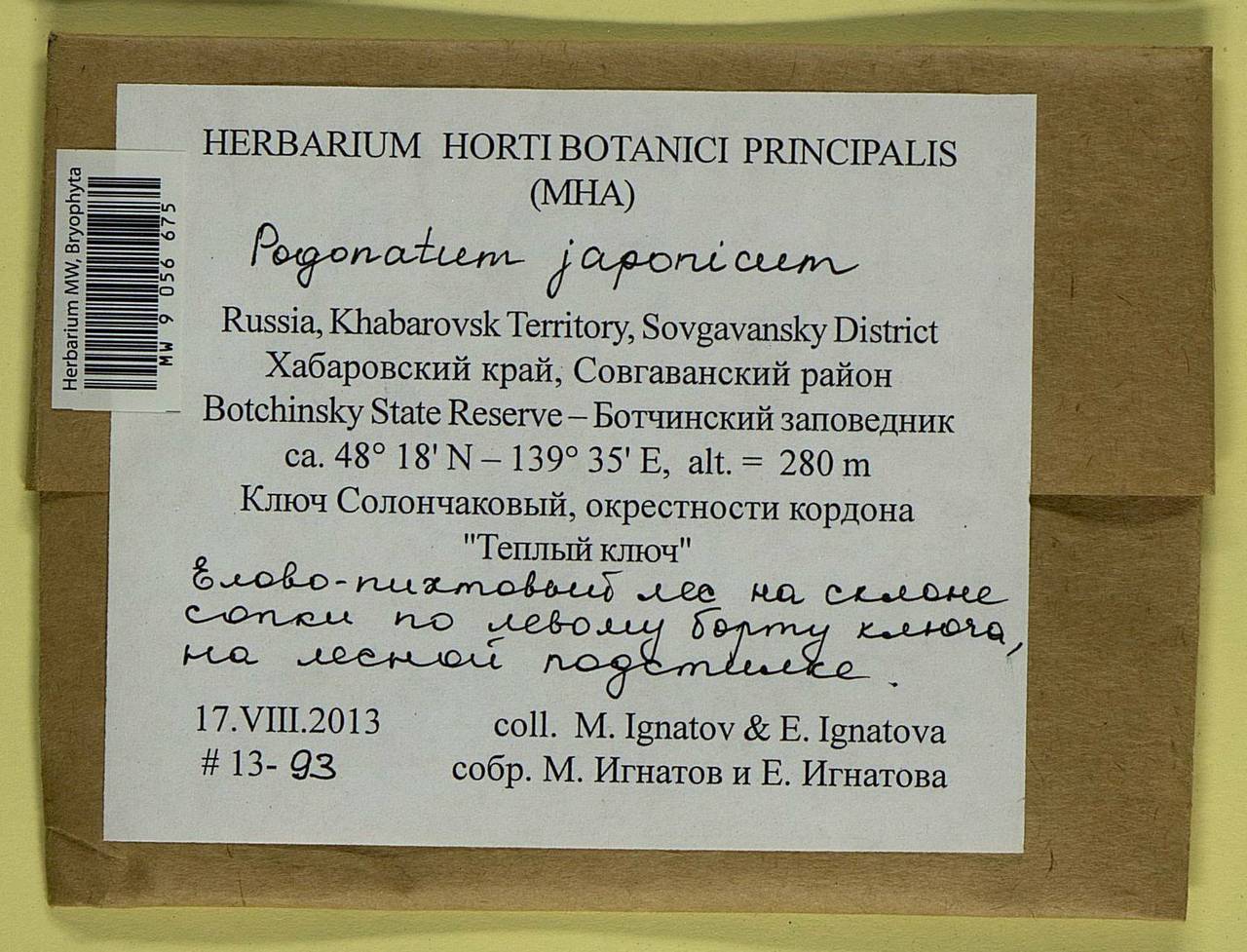 Pogonatum japonicum Sull. & Lesq., Bryophytes, Bryophytes - Russian Far East (excl. Chukotka & Kamchatka) (B20) (Russia)