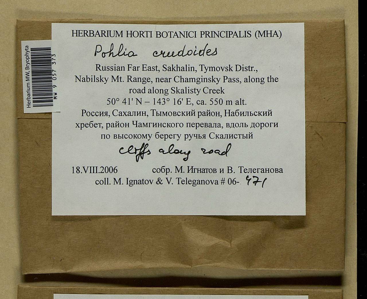 Pohlia crudoides (Sull. & Lesq.) Broth., Bryophytes, Bryophytes - Russian Far East (excl. Chukotka & Kamchatka) (B20) (Russia)