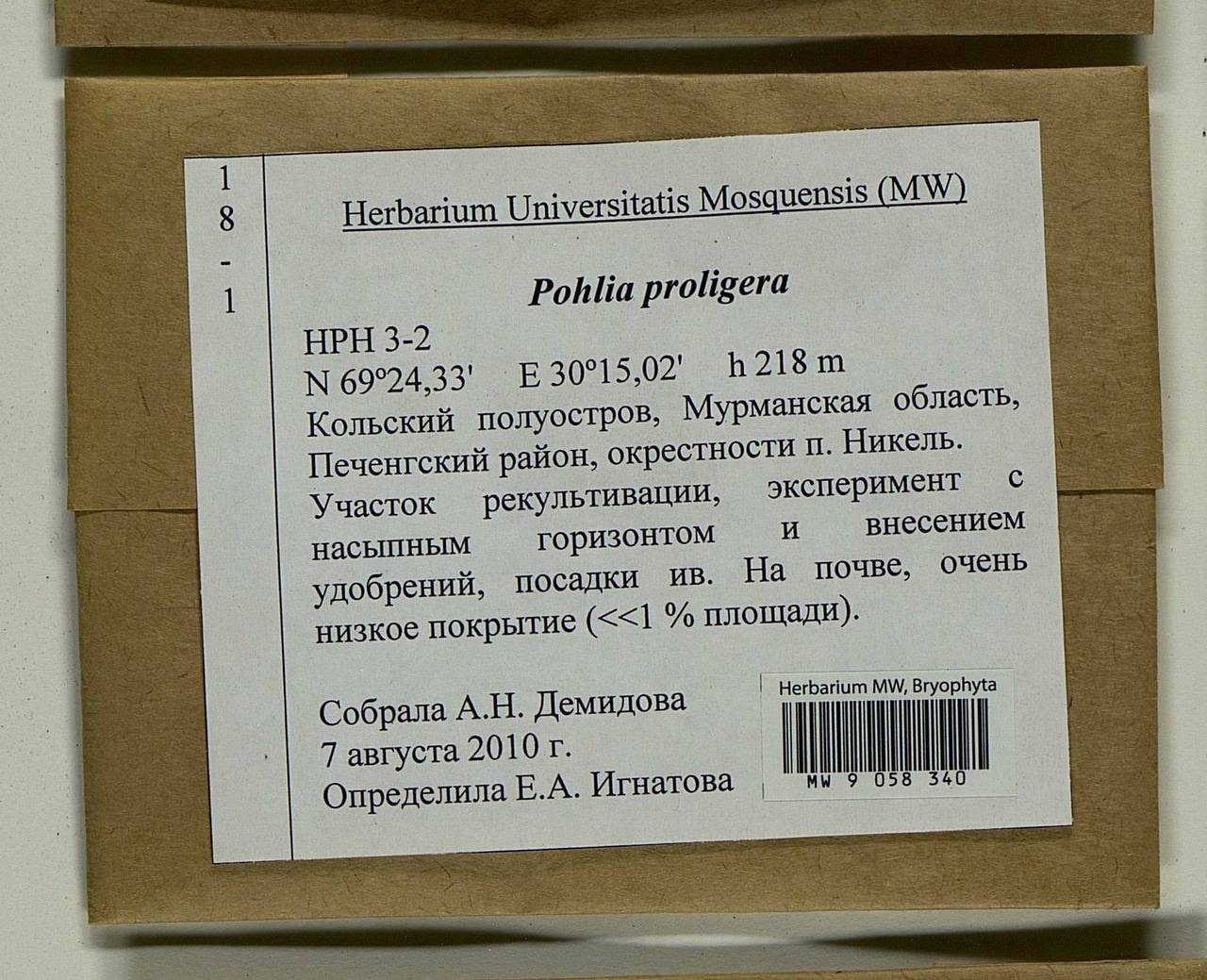 Pohlia proligera (Kindb. ex Breidl.) Lindb. ex Arnell, Bryophytes, Bryophytes - Karelia, Leningrad & Murmansk Oblasts (B4) (Russia)