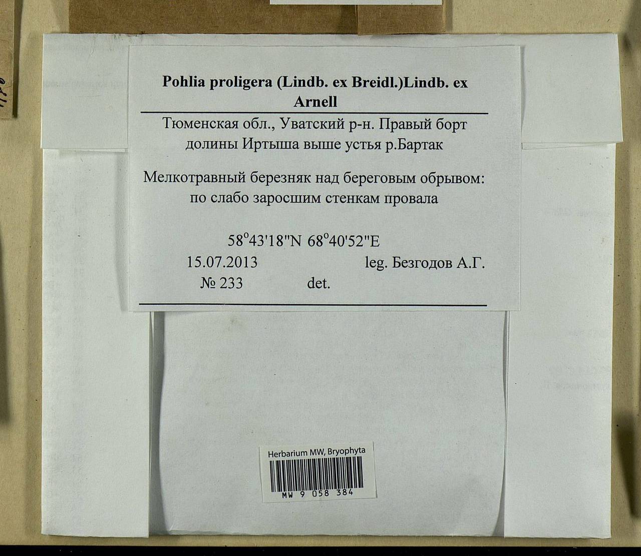 Pohlia proligera (Kindb. ex Breidl.) Lindb. ex Arnell, Bryophytes, Bryophytes - Western Siberia (including Altai) (B15) (Russia)