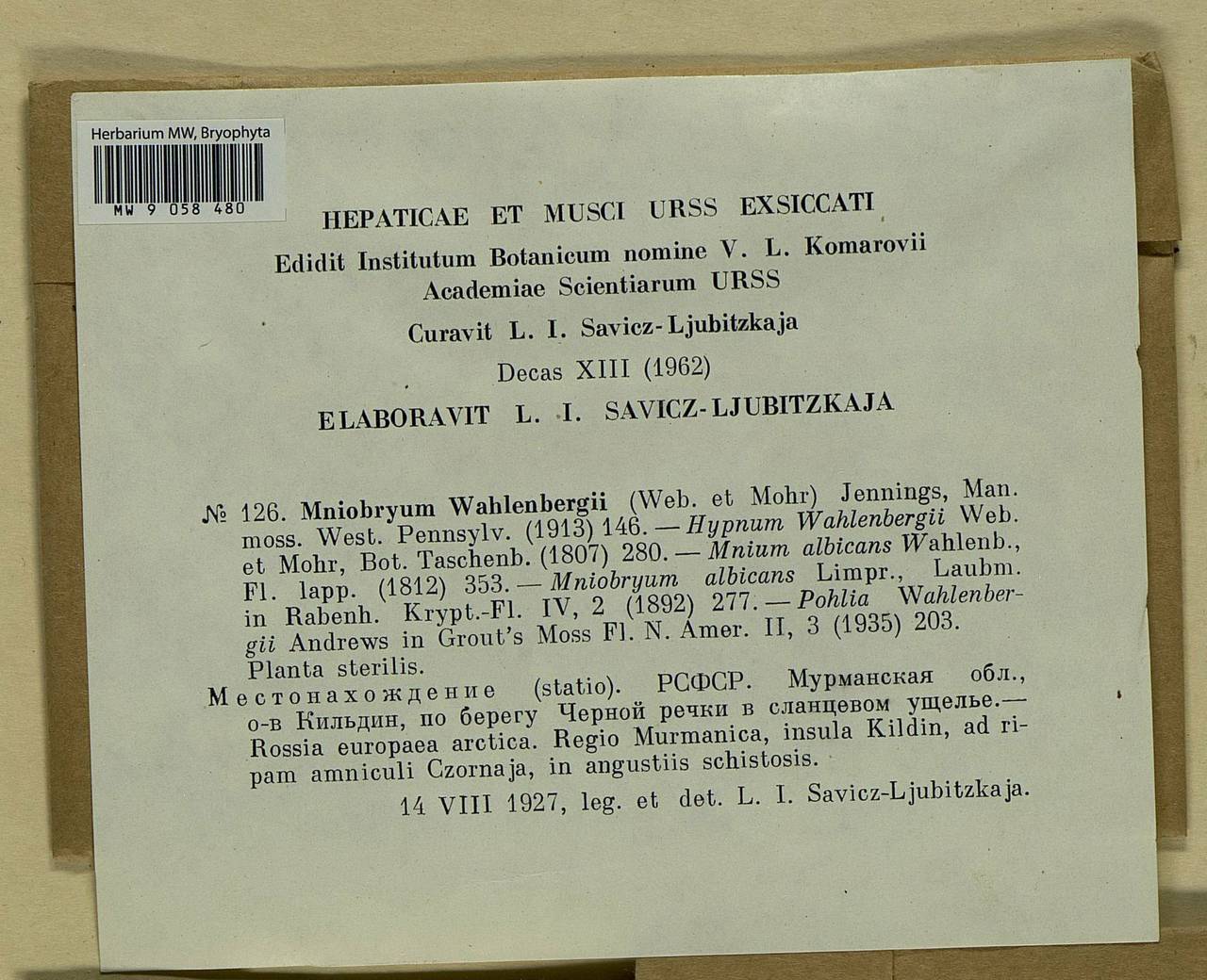 Pohlia wahlenbergii (F. Weber & D. Mohr) A.L. Andrews, Bryophytes, Bryophytes - Karelia, Leningrad & Murmansk Oblasts (B4) (Russia)