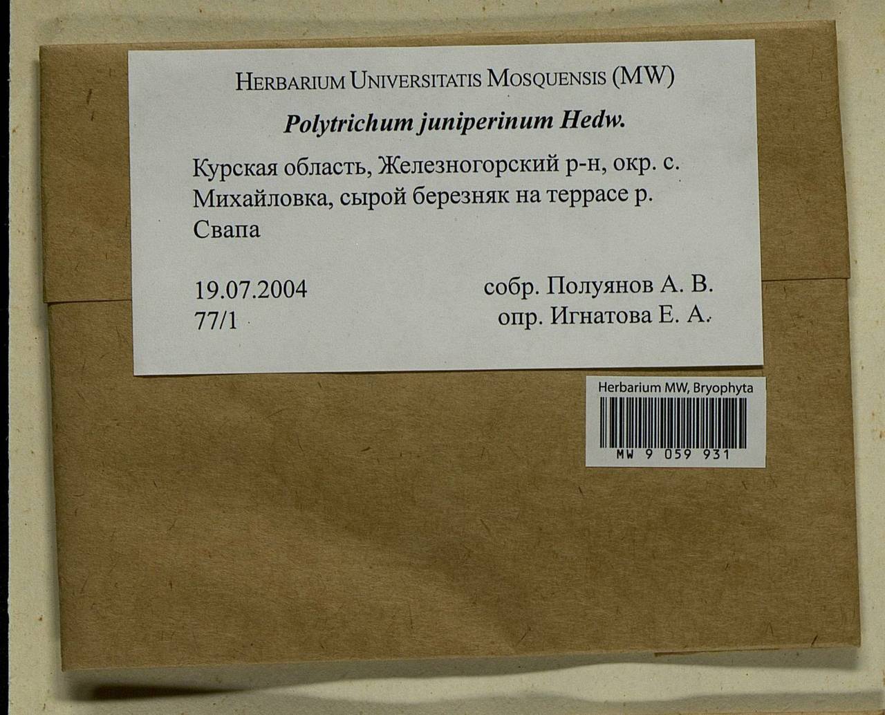 Polytrichum juniperinum Hedw., Bryophytes, Bryophytes - Central forest-and-steppe region (B10) (Russia)
