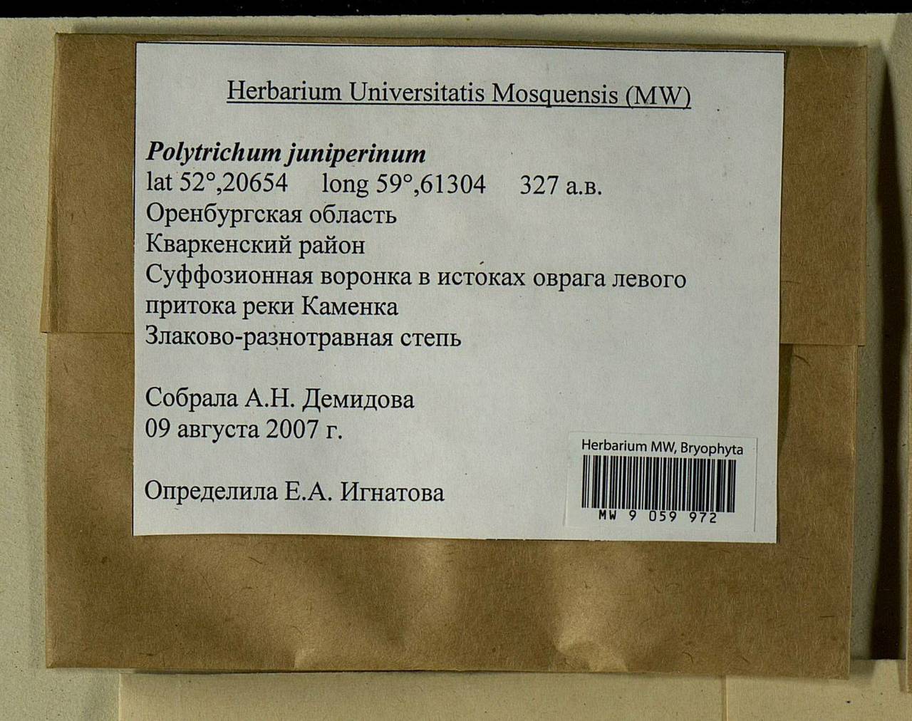 Polytrichum juniperinum Hedw., Bryophytes, Bryophytes - South Urals (B14) (Russia)