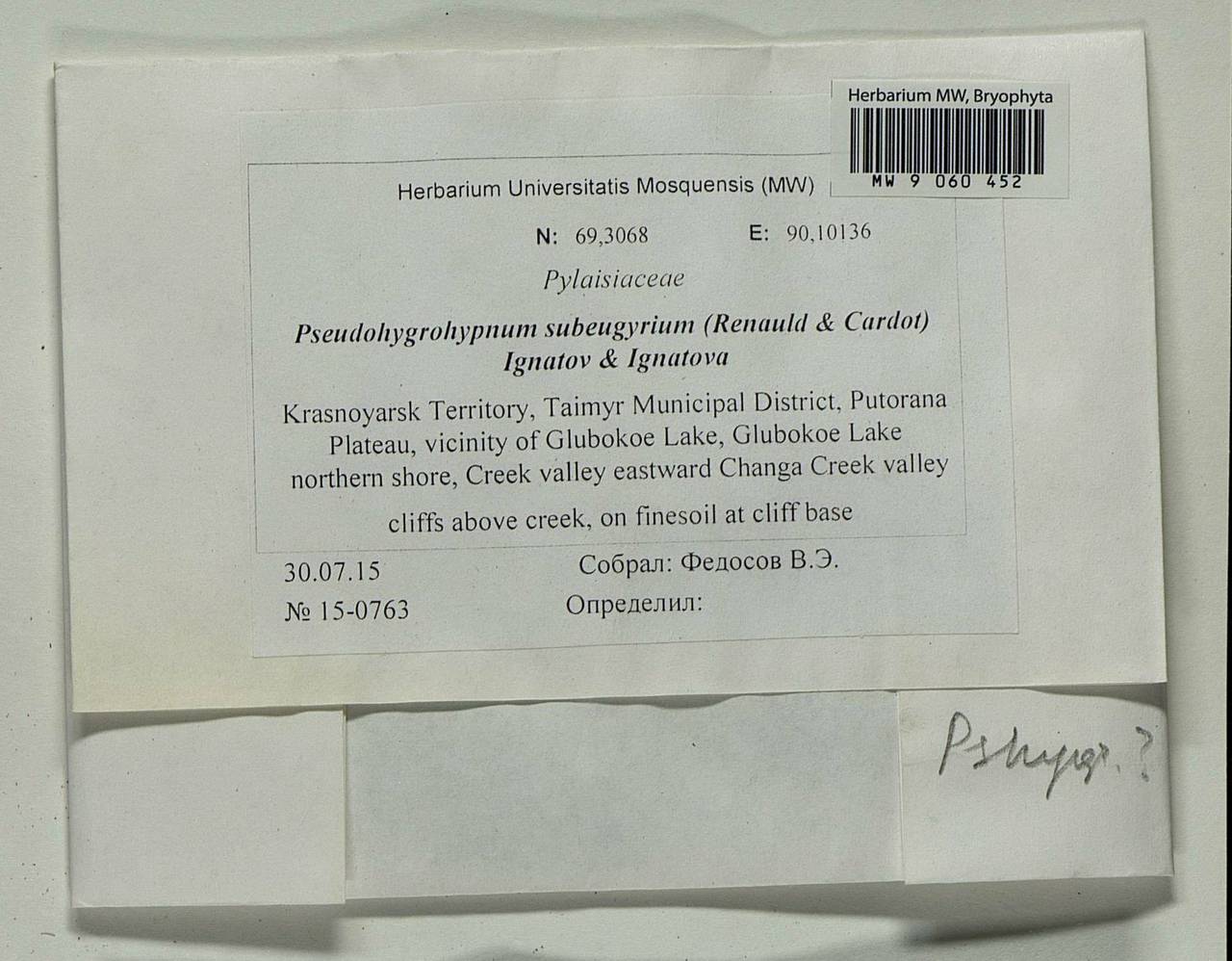 Pseudohygrohypnum subeugyrium (Renauld & Cardot) Ignatov & Ignatova, Bryophytes, Bryophytes - Krasnoyarsk Krai, Tyva & Khakassia (B17) (Russia)