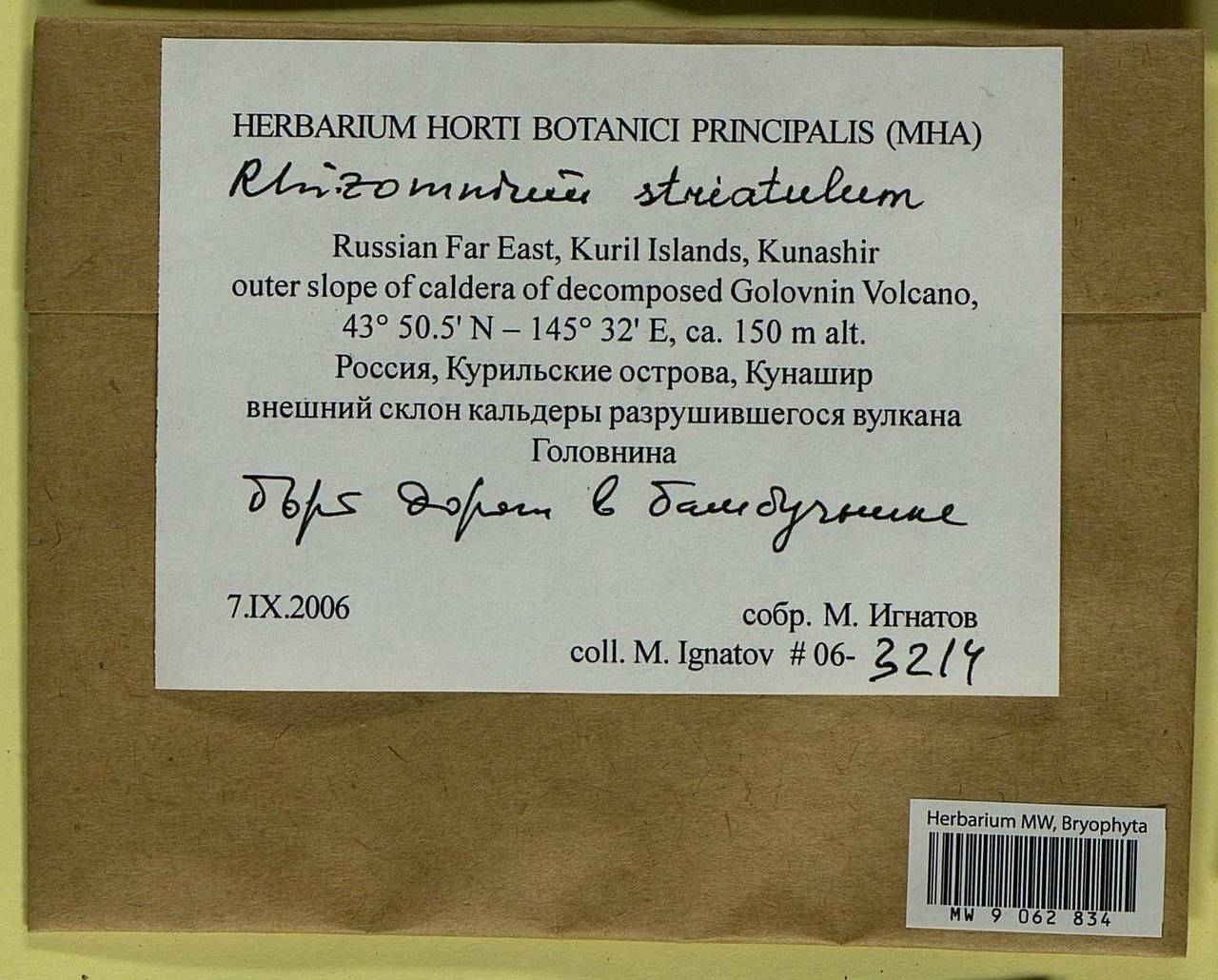 Rhizomnium striatulum (Mitt.) T.J. Kop., Bryophytes, Bryophytes - Russian Far East (excl. Chukotka & Kamchatka) (B20) (Russia)