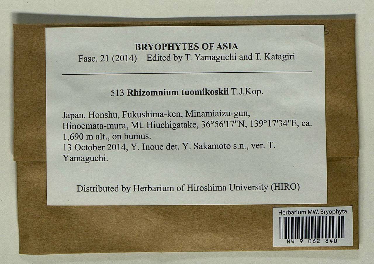 Rhizomnium tuomikoskii T.J. Kop., Bryophytes, Bryophytes - Asia (outside ex-Soviet states) (BAs) (Japan)