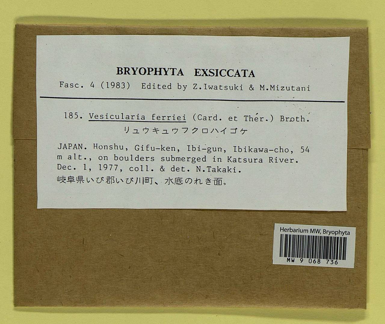 Vesicularia ferriei (Cardot & Thér.) Broth., Bryophytes, Bryophytes - Asia (outside ex-Soviet states) (BAs) (Japan)