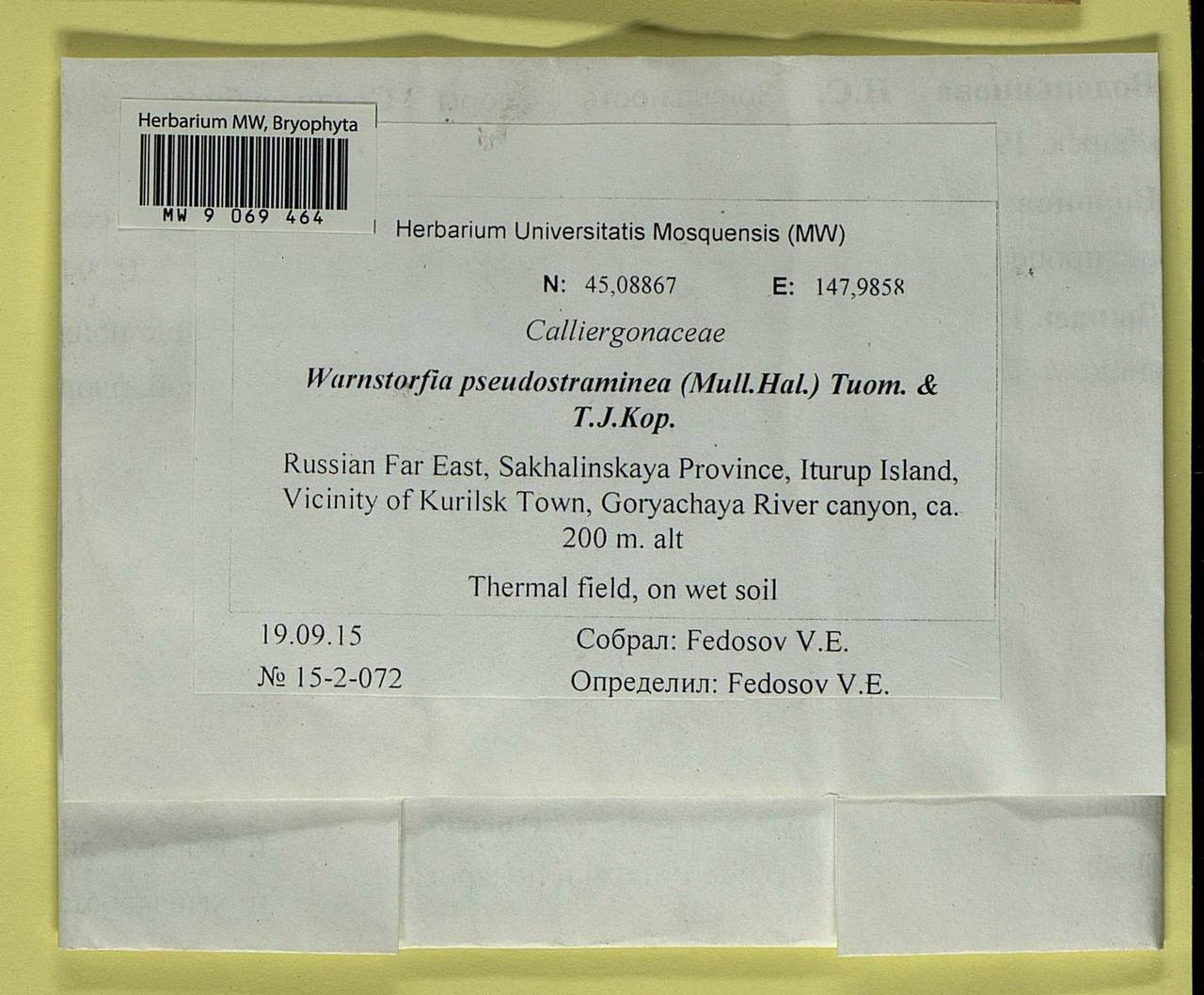 Warnstorfia pseudostraminea (Müll. Hal.) Tuom. & T.J. Kop., Bryophytes, Bryophytes - Russian Far East (excl. Chukotka & Kamchatka) (B20) (Russia)