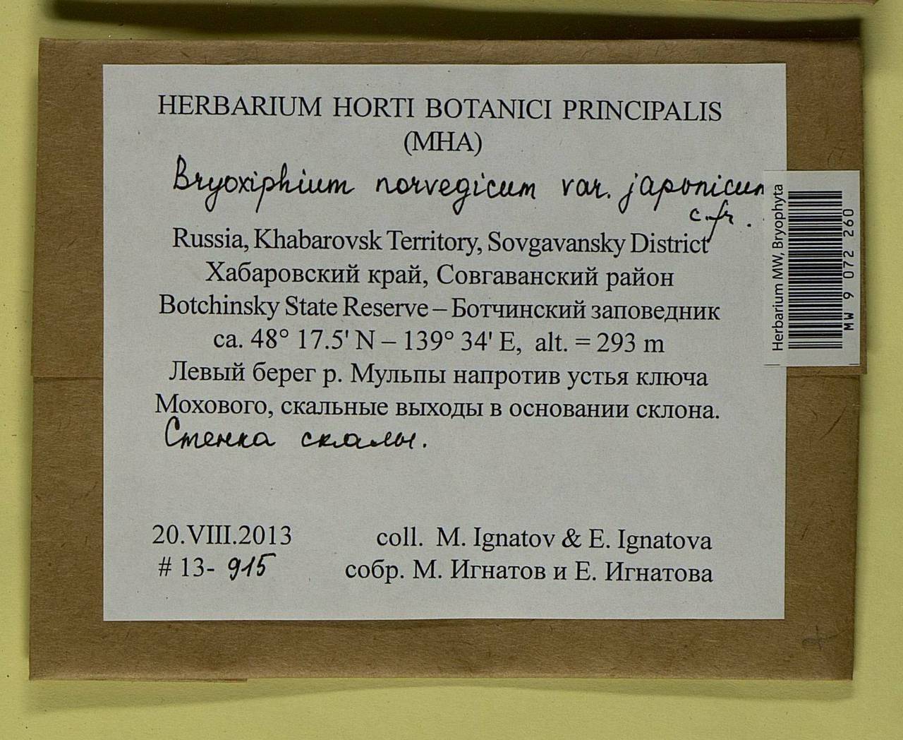 Bryoxiphium japonicum (Berggr.) E. Britton, Bryophytes, Bryophytes - Russian Far East (excl. Chukotka & Kamchatka) (B20) (Russia)