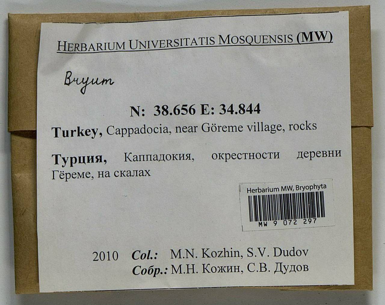 Bryum, Bryophytes, Bryophytes - Asia (outside ex-Soviet states) (BAs) (Turkey)