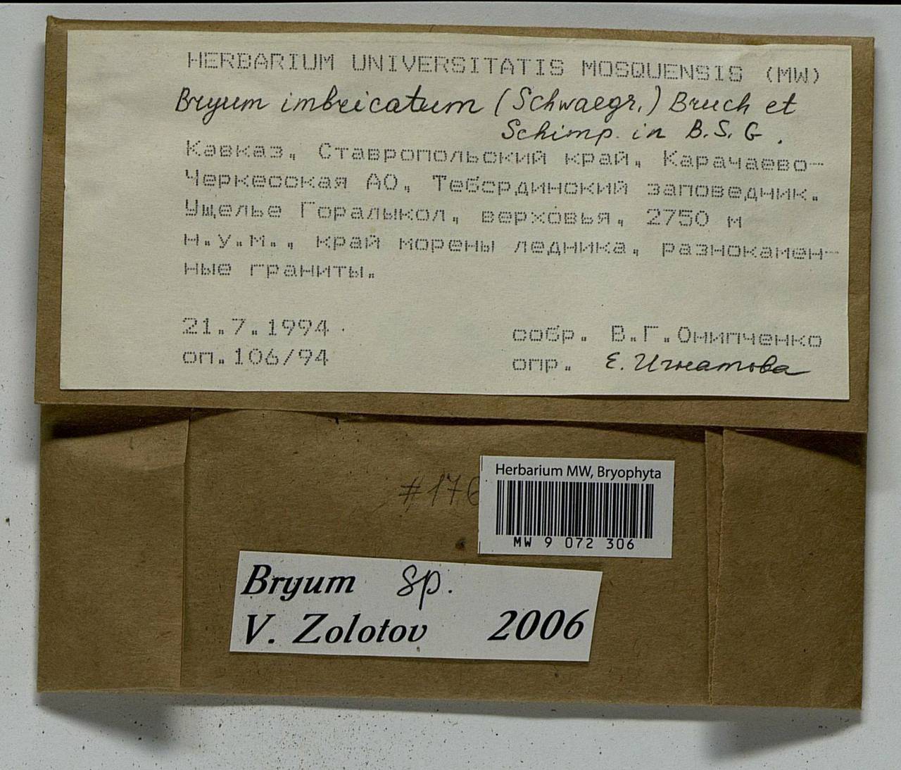 Bryum, Bryophytes, Bryophytes - North Caucasus & Ciscaucasia (B12) (Russia)