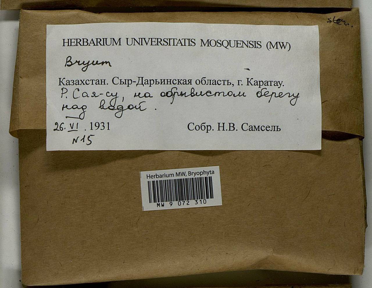 Bryum, Bryophytes, Bryophytes - Middle Asia & Kazakhstan (B16) (Kazakhstan)