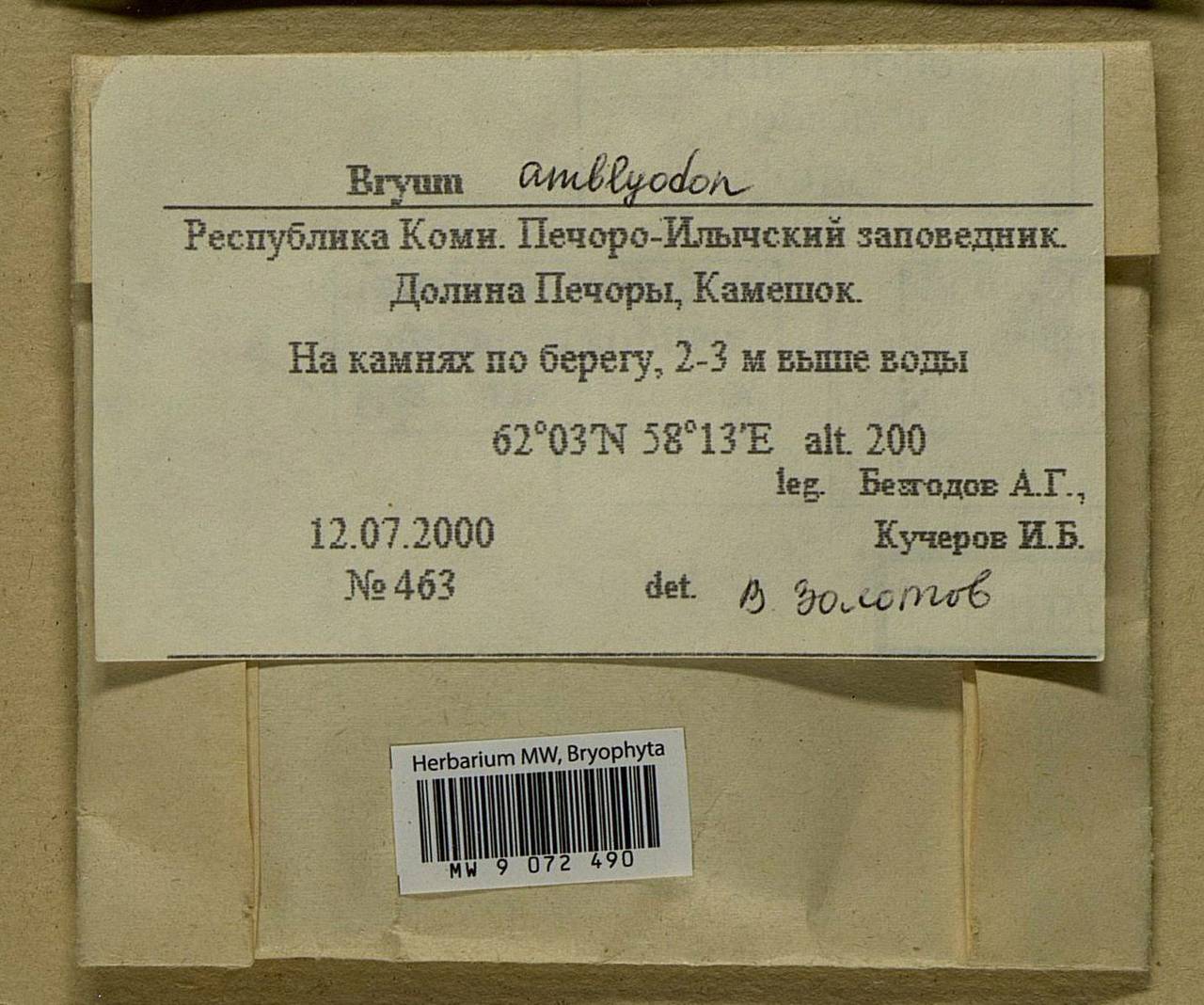 Ptychostomum inclinatum (Sw. ex Brid.) J.R. Spence, Bryophytes, Bryophytes - European North East (B7) (Russia)