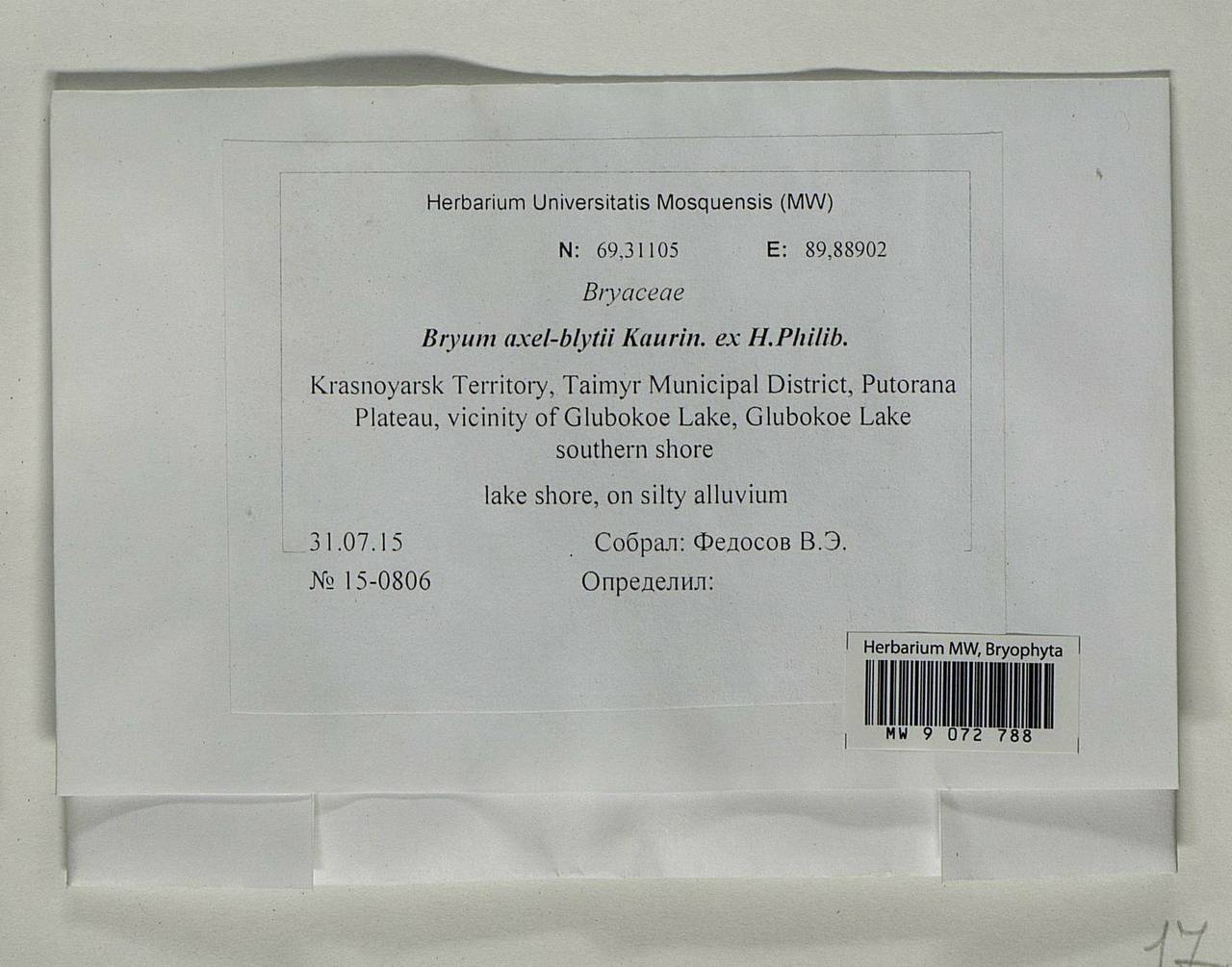Ptychostomum axel-blyttii (H. Philib.) J.R. Spence, Bryophytes, Bryophytes - Krasnoyarsk Krai, Tyva & Khakassia (B17) (Russia)