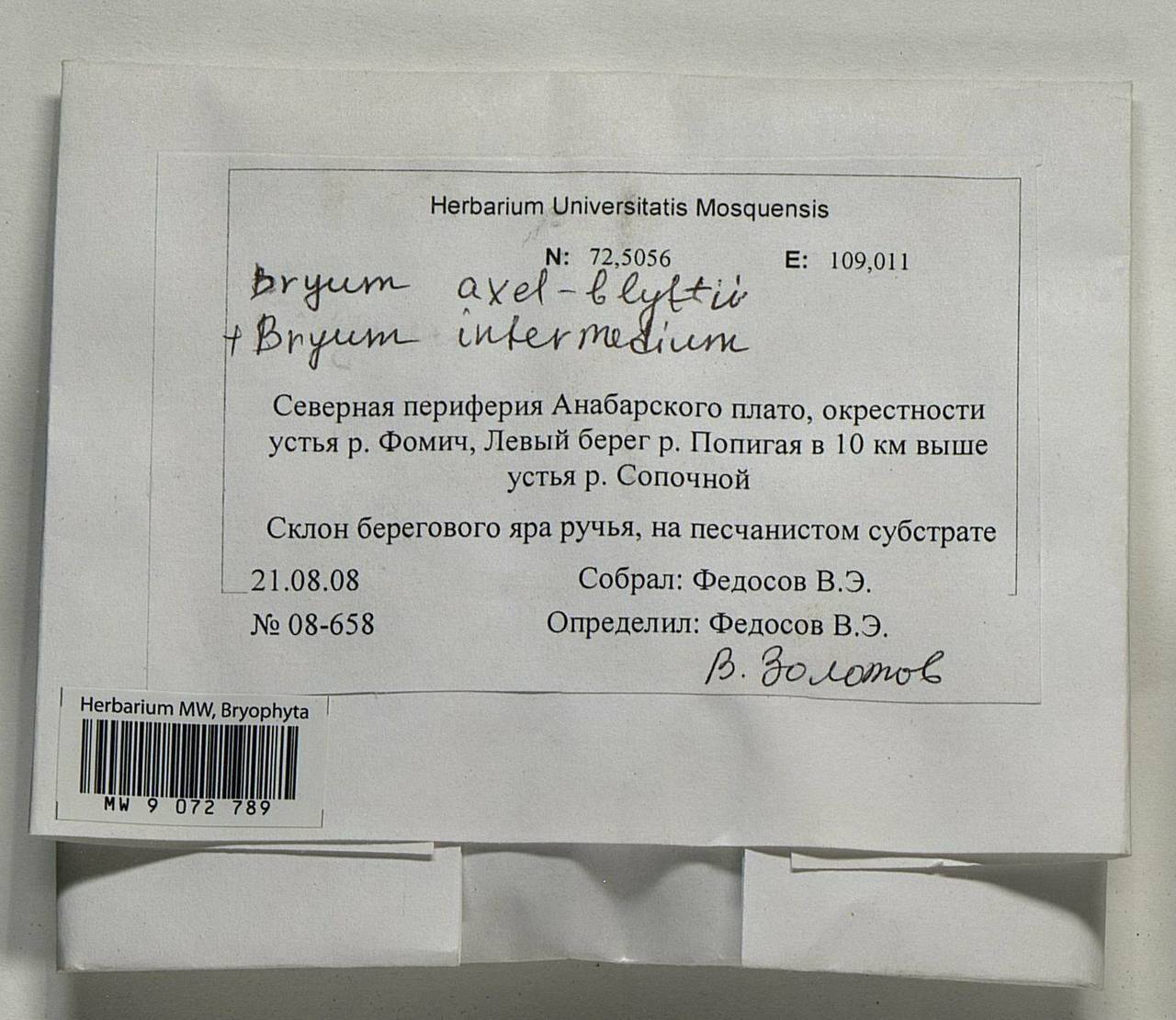 Ptychostomum axel-blyttii (H. Philib.) J.R. Spence, Bryophytes, Bryophytes - Krasnoyarsk Krai, Tyva & Khakassia (B17) (Russia)