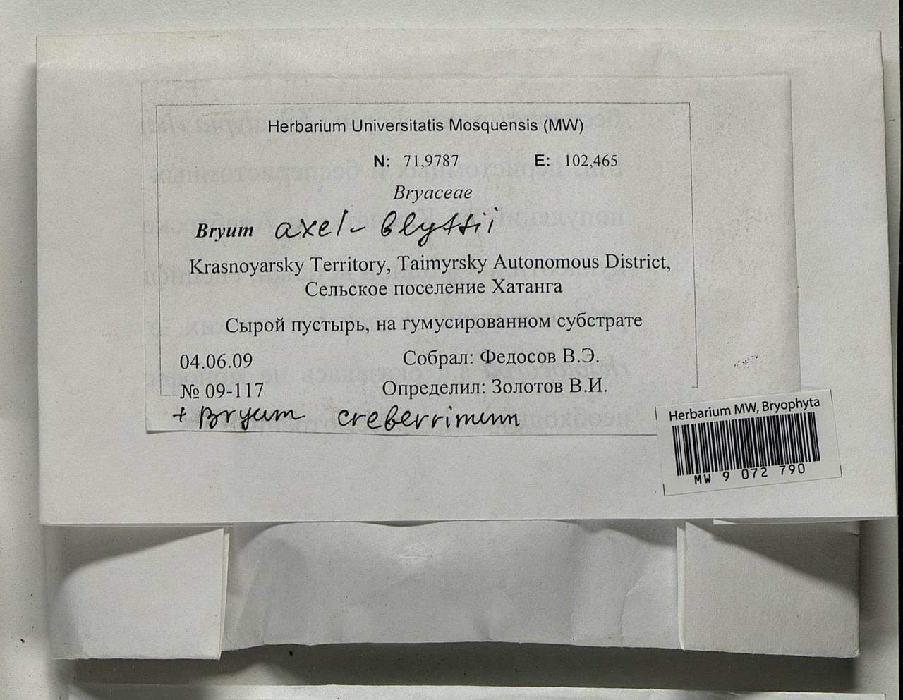 Ptychostomum axel-blyttii (H. Philib.) J.R. Spence, Bryophytes, Bryophytes - Krasnoyarsk Krai, Tyva & Khakassia (B17) (Russia)