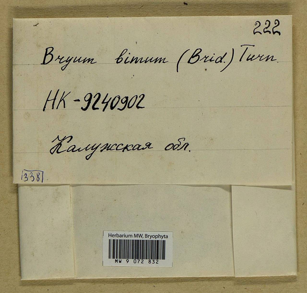 Ptychostomum bimum (Schreb.) J.R. Spence, Bryophytes, Bryophytes - Middle Russia (B6) (Russia)