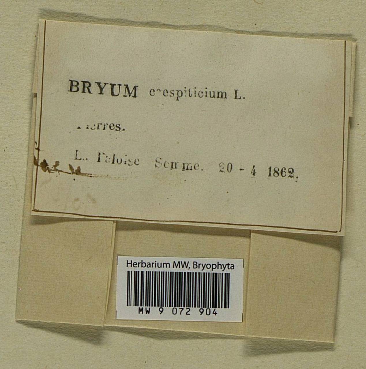 Купить Одежду Bryum В Интернет Магазине