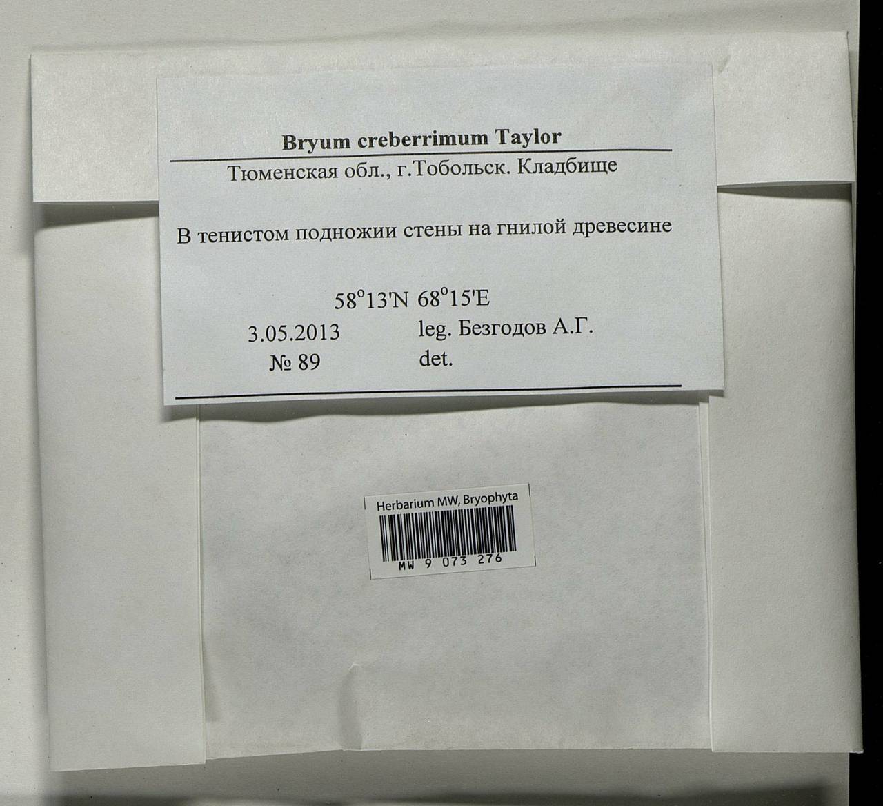 Ptychostomum creberrimum (Taylor) J.R. Spence & H.P. Ramsay, Bryophytes, Bryophytes - Western Siberia (including Altai) (B15) (Russia)