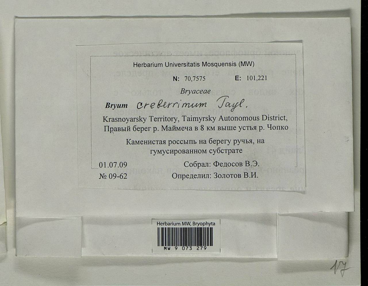 Ptychostomum creberrimum (Taylor) J.R. Spence & H.P. Ramsay, Bryophytes, Bryophytes - Krasnoyarsk Krai, Tyva & Khakassia (B17) (Russia)