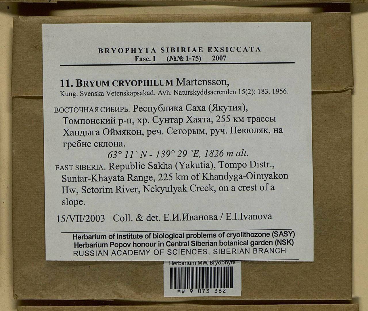 Ptychostomum cryophilum (Mårtensson) J.R. Spence, Bryophytes, Bryophytes - Yakutia (B19) (Russia)