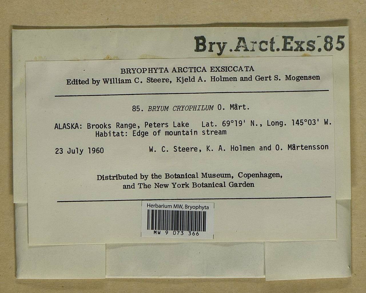 Ptychostomum cryophilum (Mårtensson) J.R. Spence, Bryophytes, Bryophytes - America (BAm) (United States)