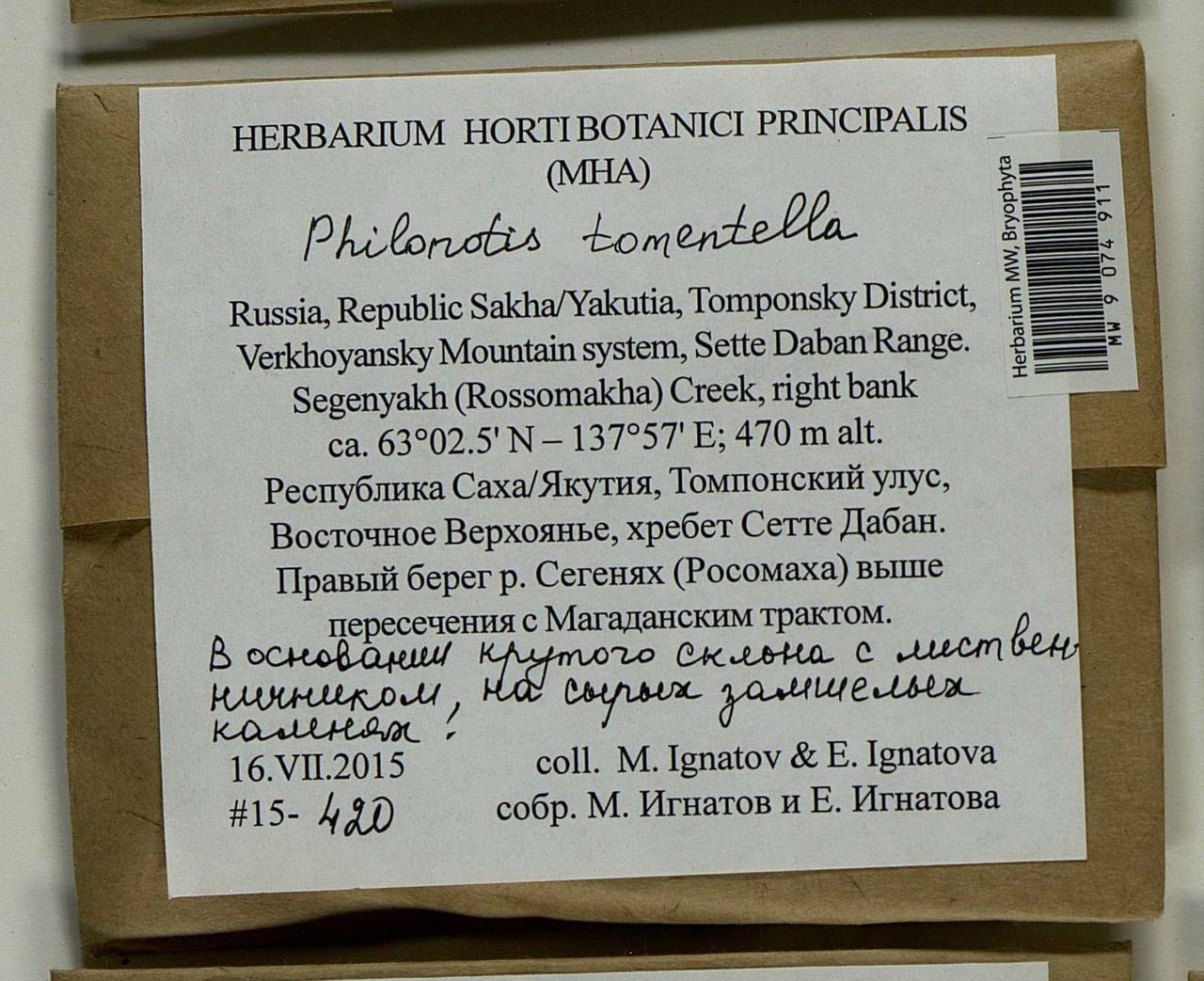 Philonotis tomentella Molendo, Bryophytes, Bryophytes - Yakutia (B19) (Russia)