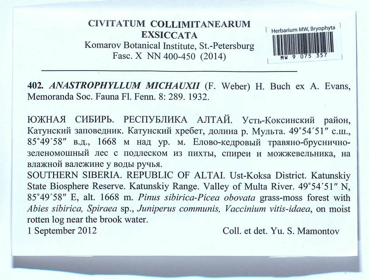 Anastrophyllum michauxii (F. Weber) H. Buch, Bryophytes, Bryophytes - Western Siberia (including Altai) (B15) (Russia)