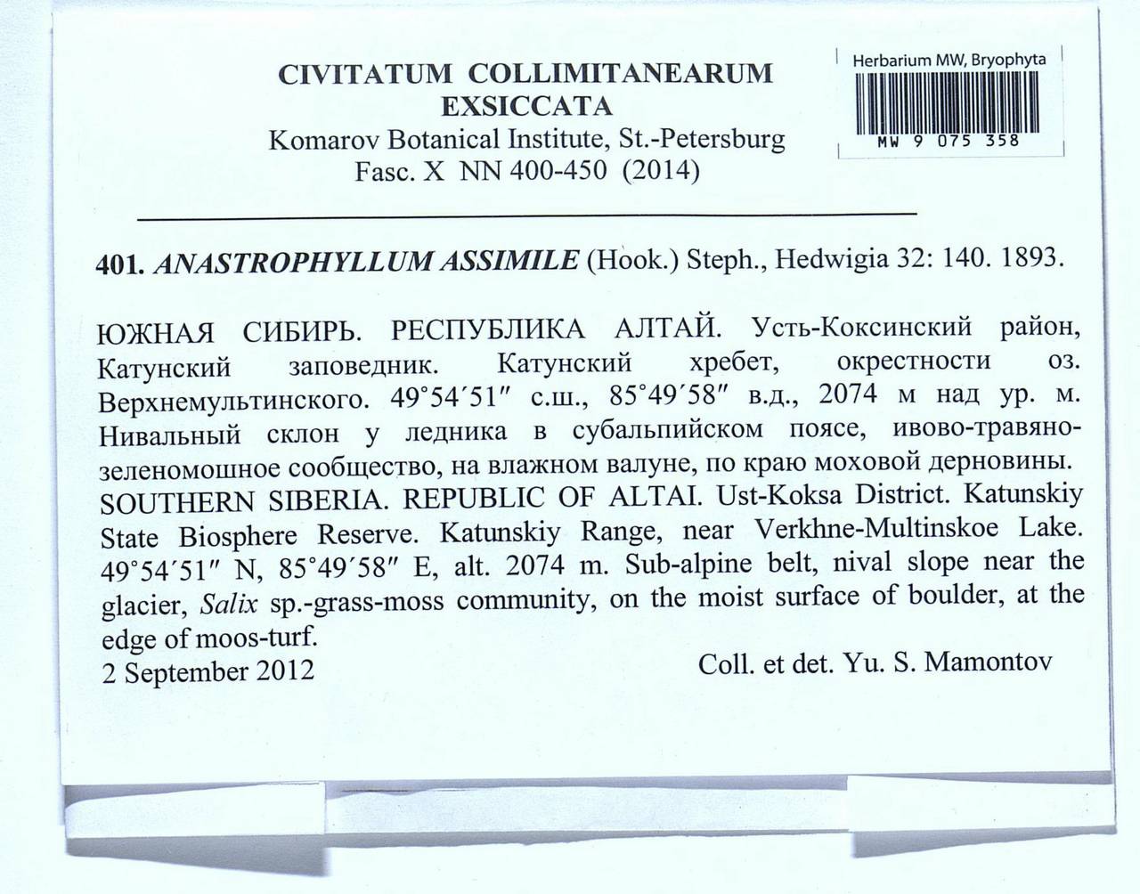 Anastrophyllum assimile (Mitt.) Steph., Bryophytes, Bryophytes - Western Siberia (including Altai) (B15) (Russia)