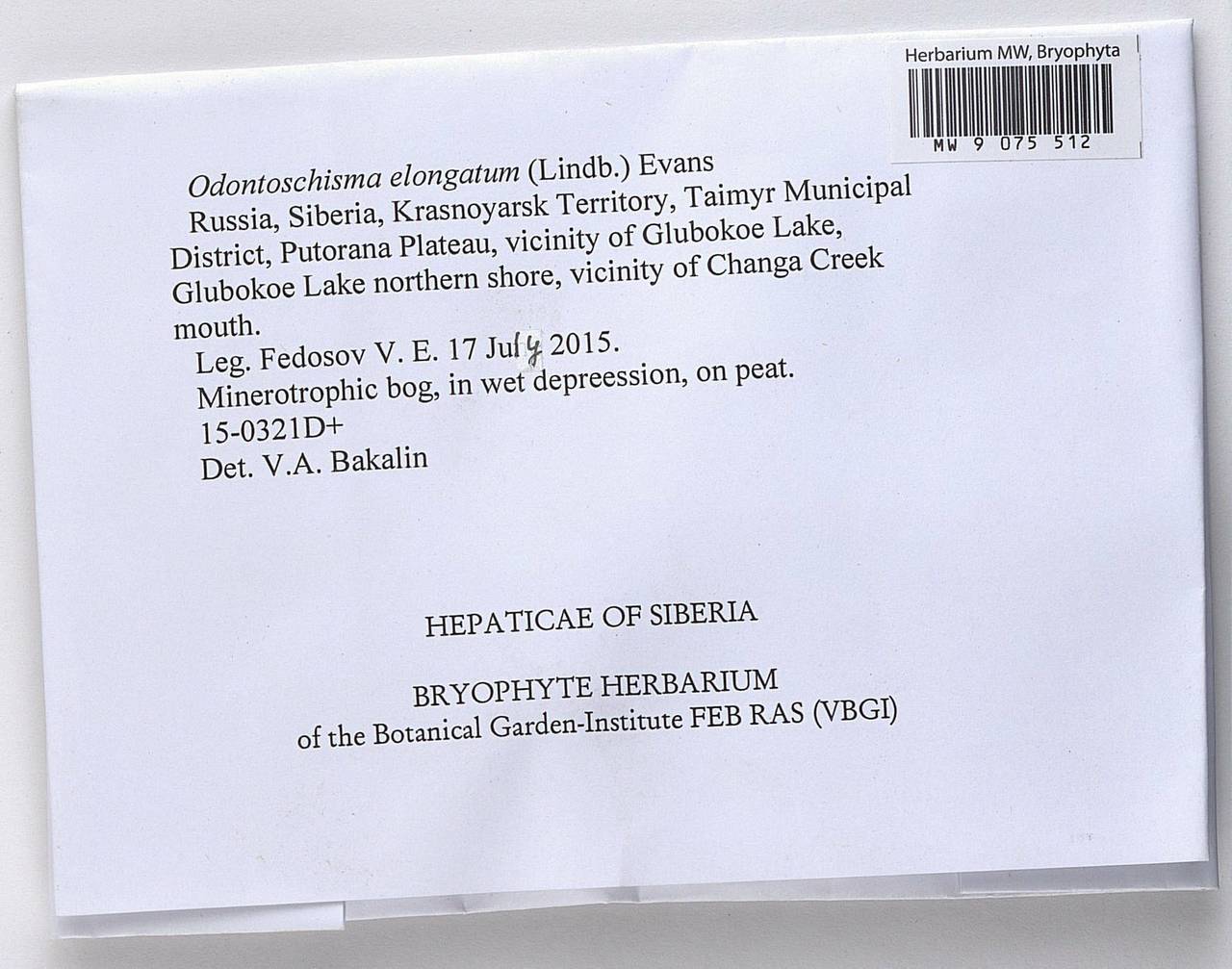 Odontoschisma elongatum (Lindb.) A. Evans, Bryophytes, Bryophytes - Krasnoyarsk Krai, Tyva & Khakassia (B17) (Russia)