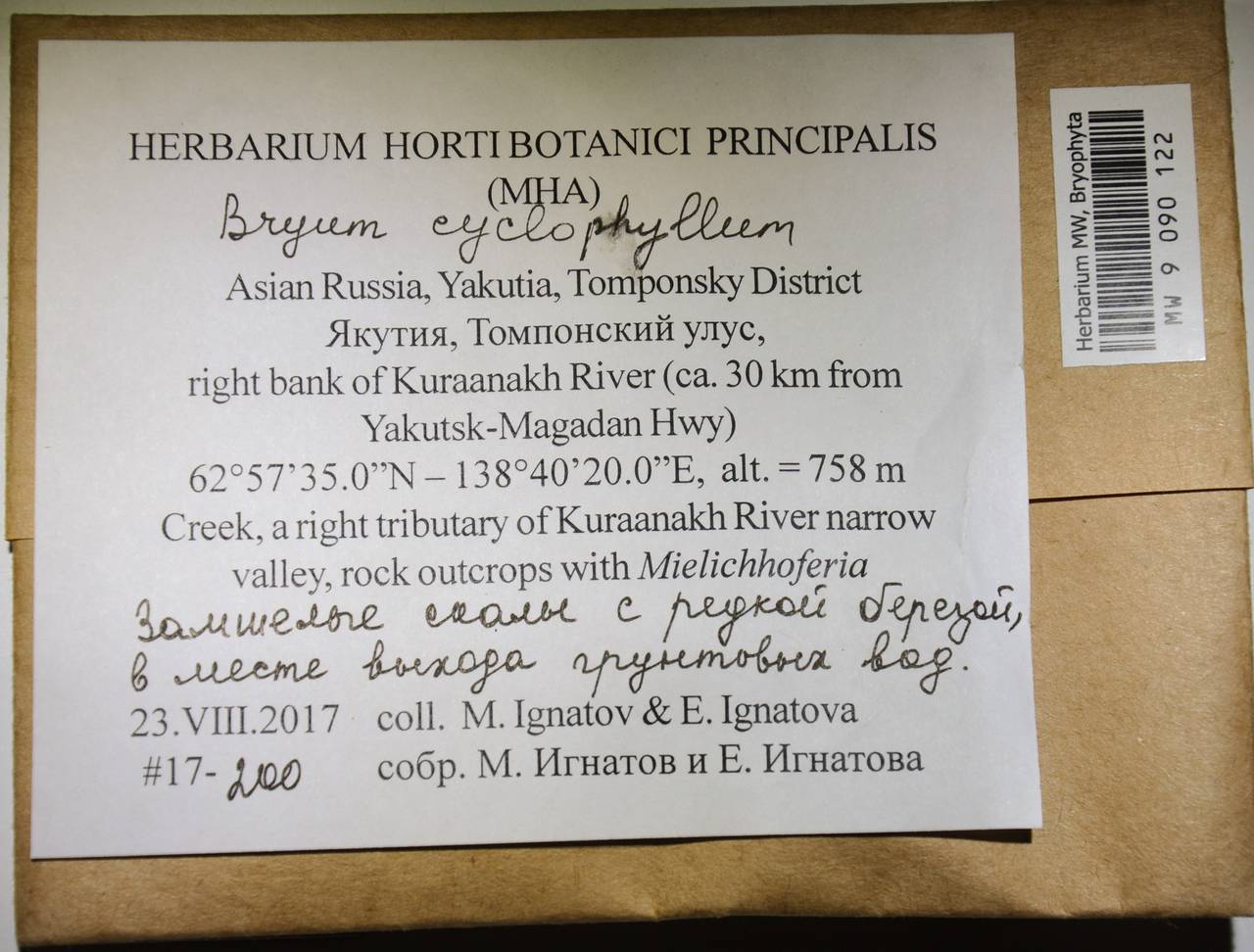 MW 9 090 122, Ptychostomum cyclophyllum (Schwägr.) J.R. Spence, Bryophytes, Bryophytes - Yakutia (B19) (Russia)