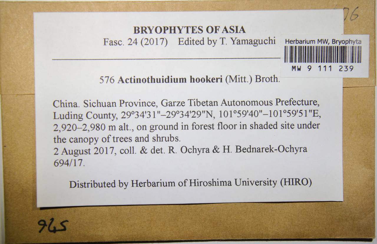 MW 9 111 239, Actinothuidium hookeri (Mitt.) Broth., Bryophytes, Bryophytes - Asia (outside ex-Soviet states) (BAs) (China)