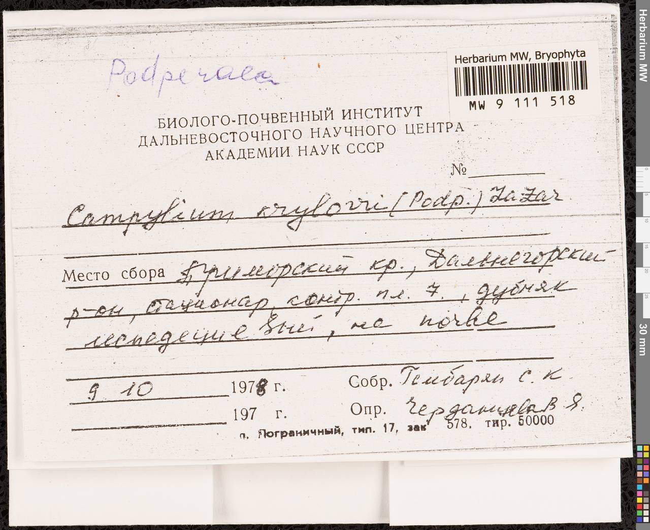 Podperaea krylovii (Podp.) Z. Iwats. & Glime, Bryophytes, Bryophytes - Russian Far East (excl. Chukotka & Kamchatka) (B20) (Russia)