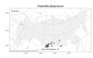 Potentilla desertorum, Лапчатка пустынная Bunge, Атлас флоры России (FLORUS) (Россия)