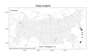 Viola hultenii, Фиалка Хультена W. Becker, Атлас флоры России (FLORUS) (Россия)