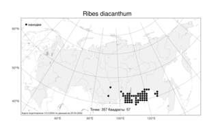 Ribes diacanthum, Смородина двуиглая, Таранушка Pall., Атлас флоры России (FLORUS) (Россия)