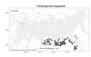 Cleistogenes kitagawae, Змеевка Китагавы Honda, Атлас флоры России (FLORUS) (Россия)