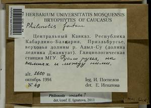 Philonotis seriata Mitt., Гербарий мохообразных, Мхи - Северный Кавказ и Предкавказье (B12) (Россия)