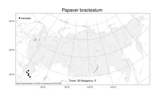 Papaver bracteatum, Мак прицветниковый Lindl., Атлас флоры России (FLORUS) (Россия)